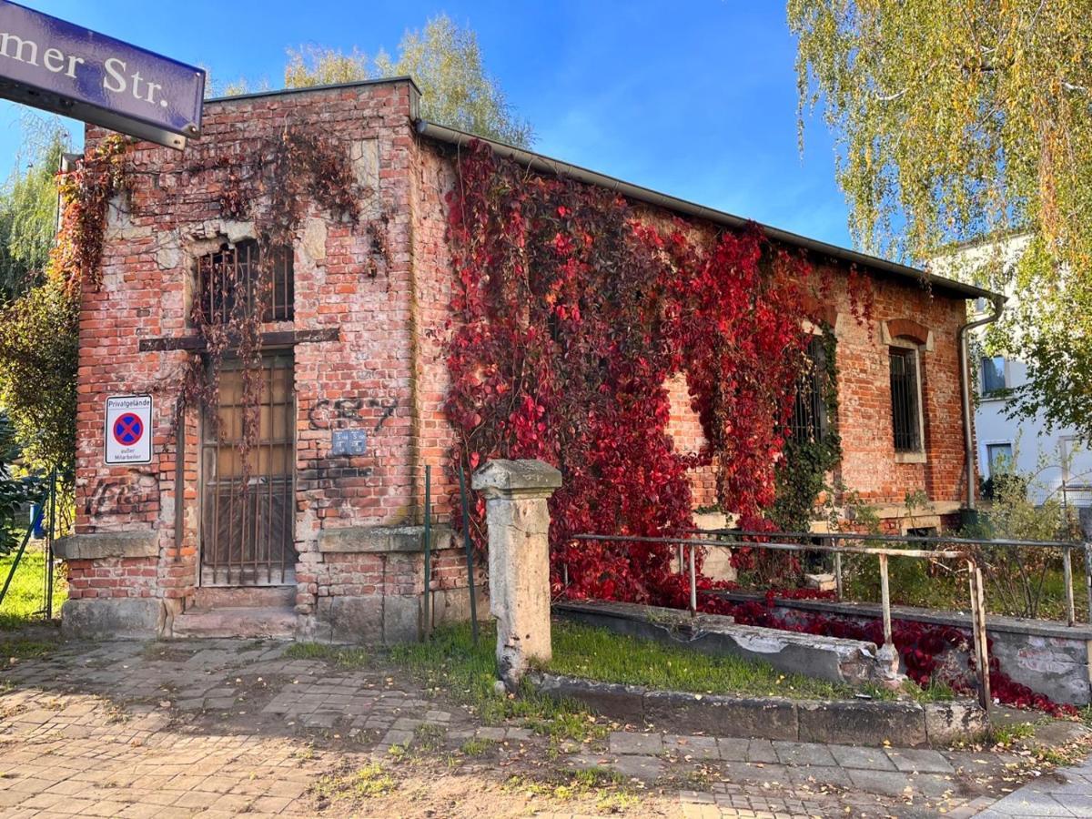 Gemutliche Oase - Tv, Beamer, Kuche Fur 4 Personen Apartment Dresda Exterior foto