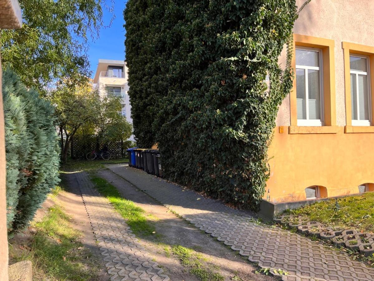 Gemutliche Oase - Tv, Beamer, Kuche Fur 4 Personen Apartment Dresda Exterior foto